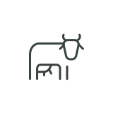 We take care of our cows