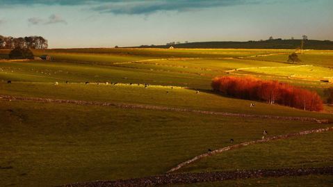A field