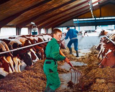 Arlagården means quality on farms