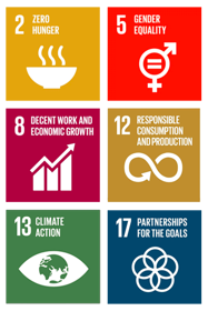 The UN Global Goals of Sustainable Development